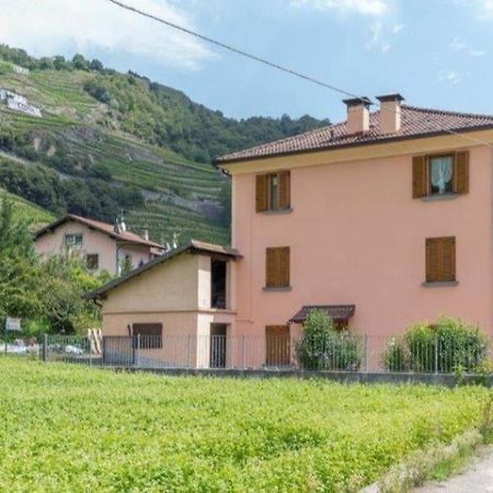 Hotel Joy Valtellina Per Amanti Degli Animali Tresenda Exterior foto