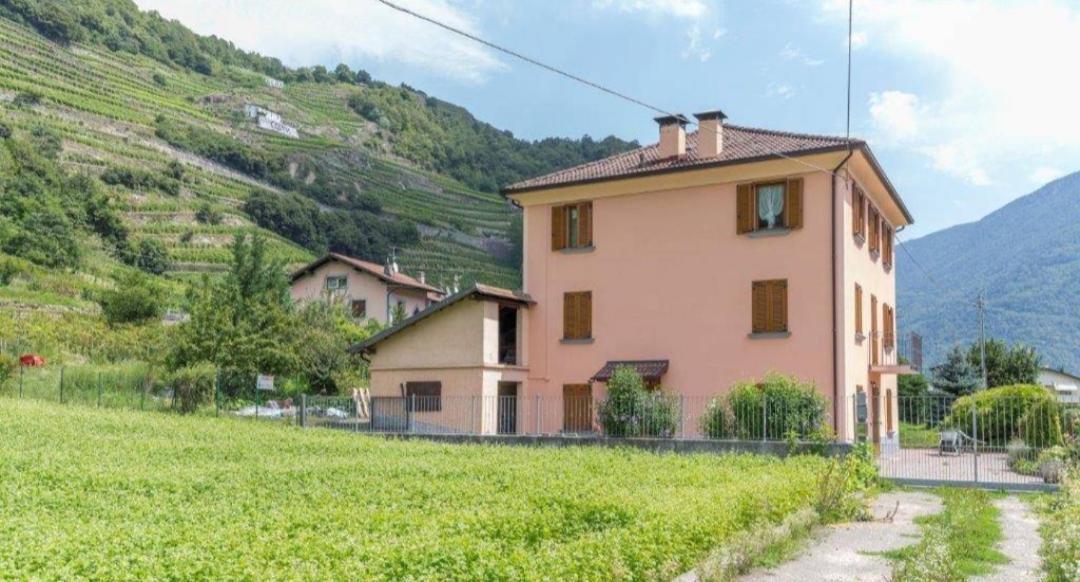 Hotel Joy Valtellina Per Amanti Degli Animali Tresenda Exterior foto